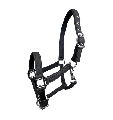 Kantar żrebięcy z brokatem Aston czarny