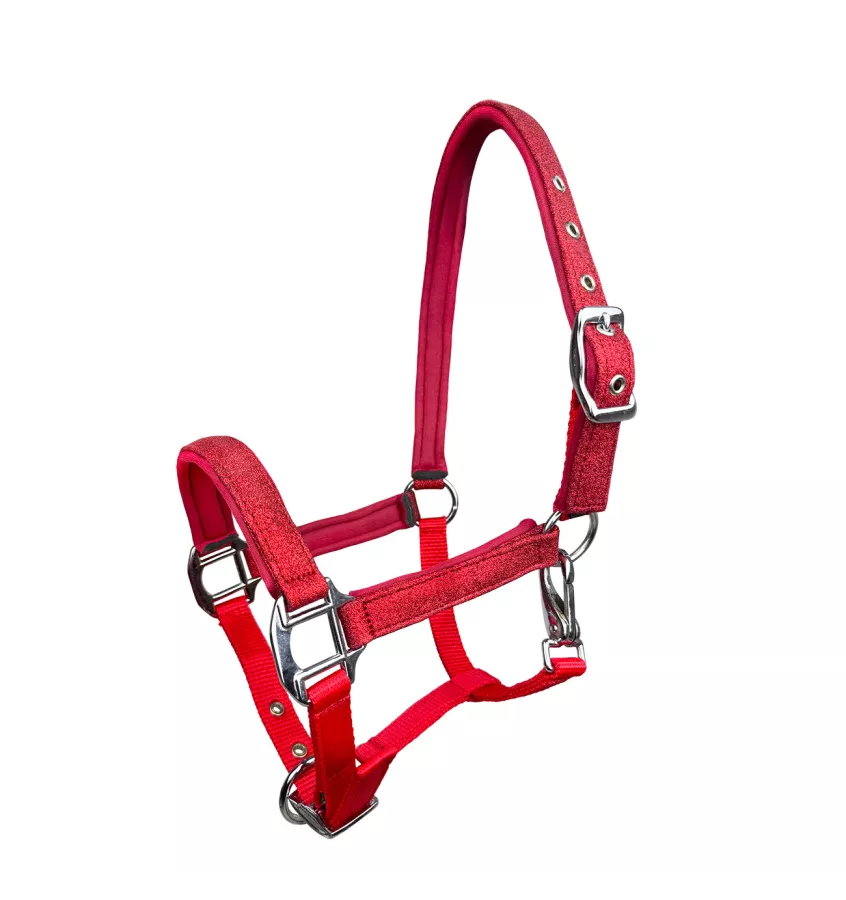 Kantar żrebięcy z brokatem Aston czarny