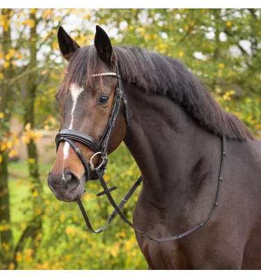 Ogłowie dla konia Sunset cob