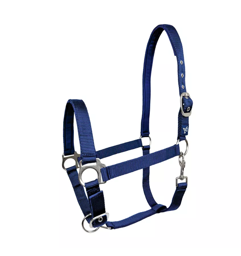 Kantar dla konia Dora czarny cob