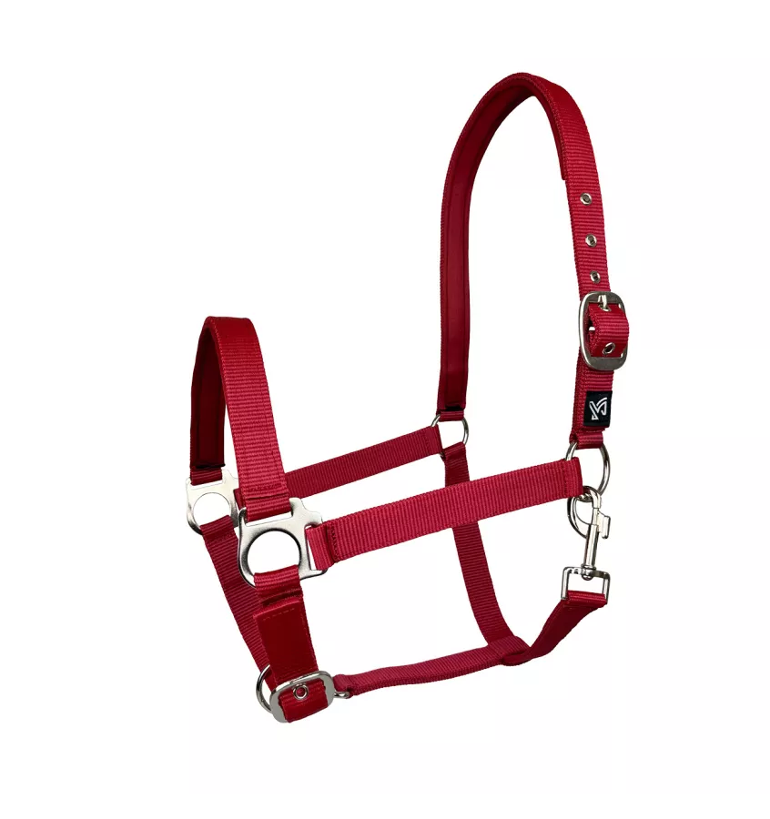 Kantar dla konia Dora czarny cob