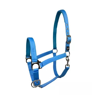 Kantar dla konia Dora czarny cob