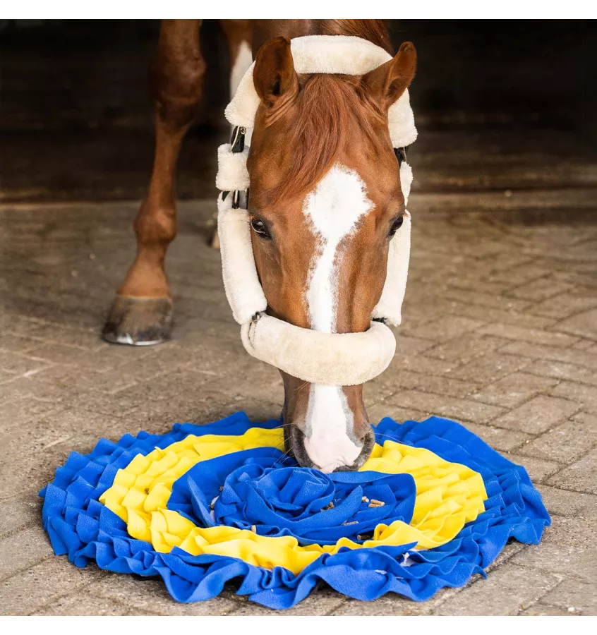 Mata węchowa dla koni