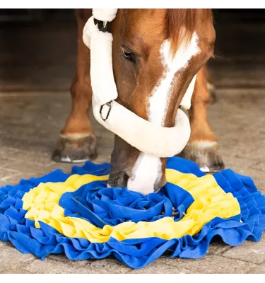 Mata węchowa dla koni