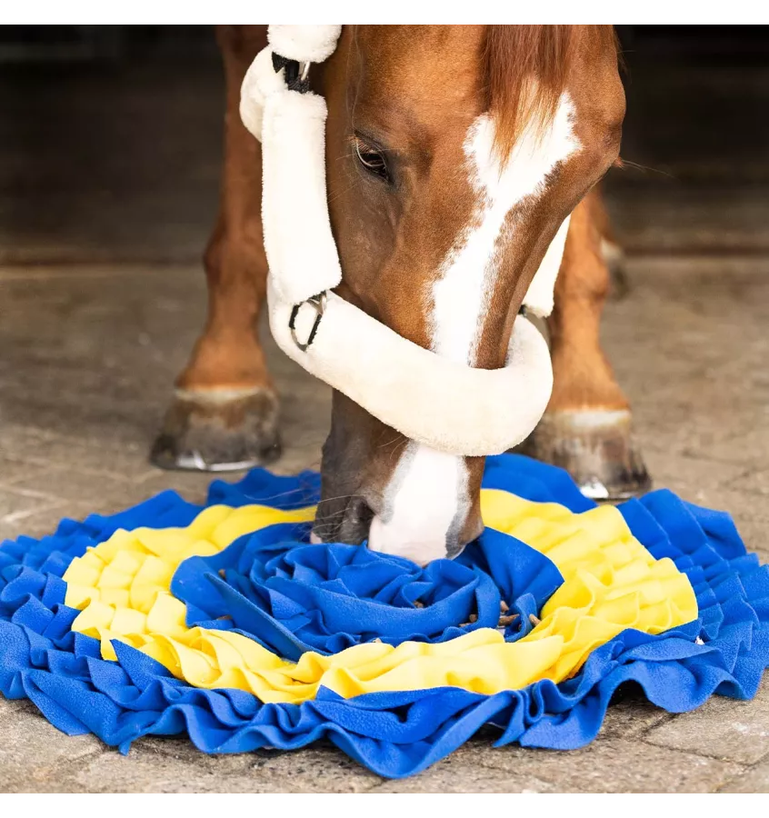 Mata węchowa dla koni