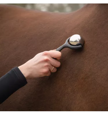 Masażer dla konia QHP