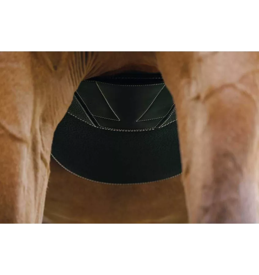 Skórzany popręg z fartuchem Norton Magnet czarny 115