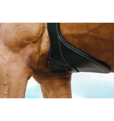 Skórzany popręg z fartuchem Norton Magnet czarny 115