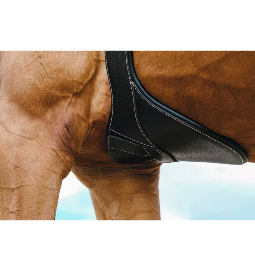 Skórzany popręg z fartuchem Norton Magnet czarny 115