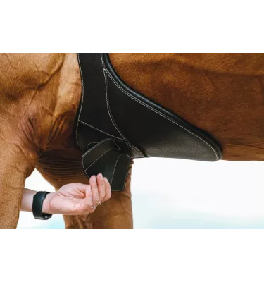 Skórzany popręg z fartuchem Norton Magnet czarny 115