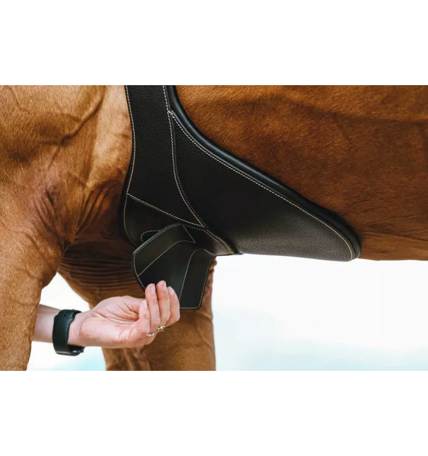 Skórzany popręg z fartuchem Norton Magnet czarny 115