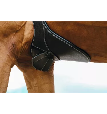 Skórzany popręg z fartuchem Norton Magnet czarny 115