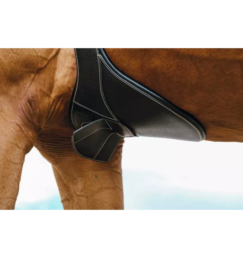 Skórzany popręg z fartuchem Norton Magnet czarny 115