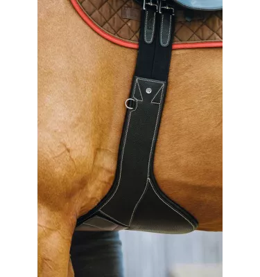 Skórzany popręg z fartuchem Norton Magnet czarny 115