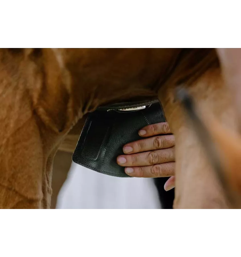 Skórzany popręg z fartuchem Norton Magnet czarny 115