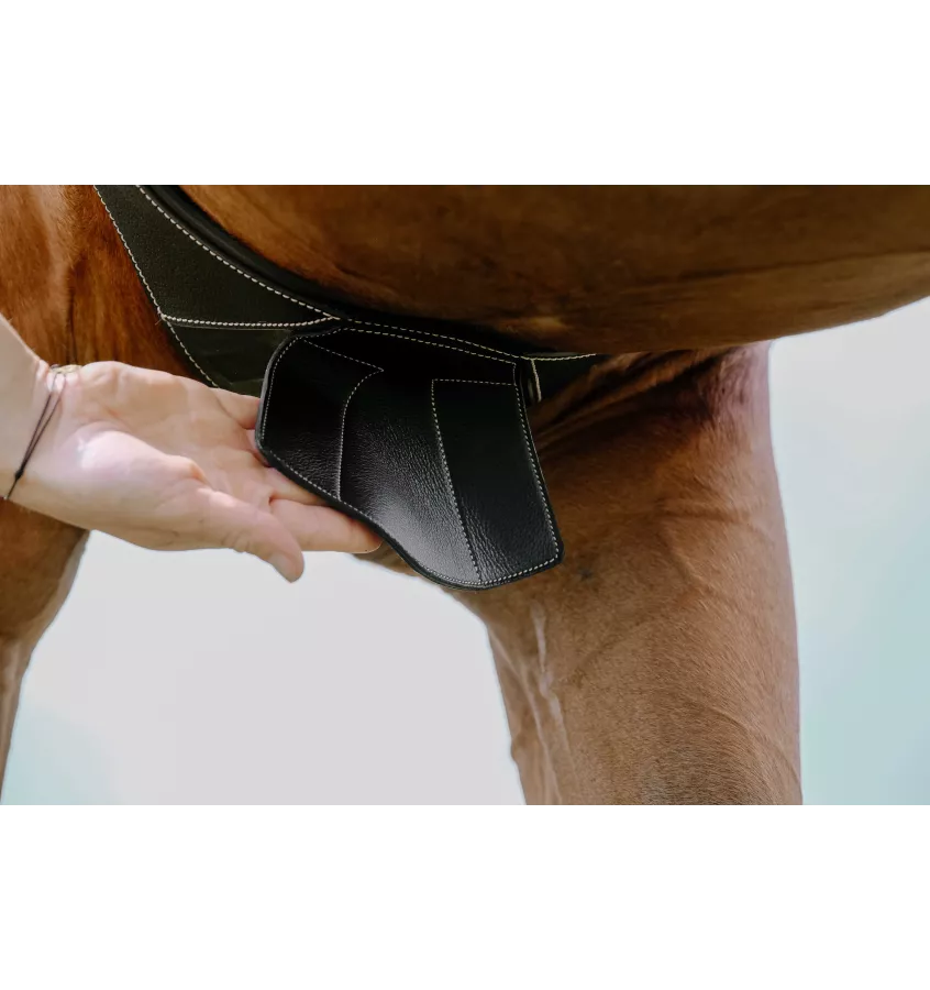 Skórzany popręg anatomiczny Norton Magnet czarny 115