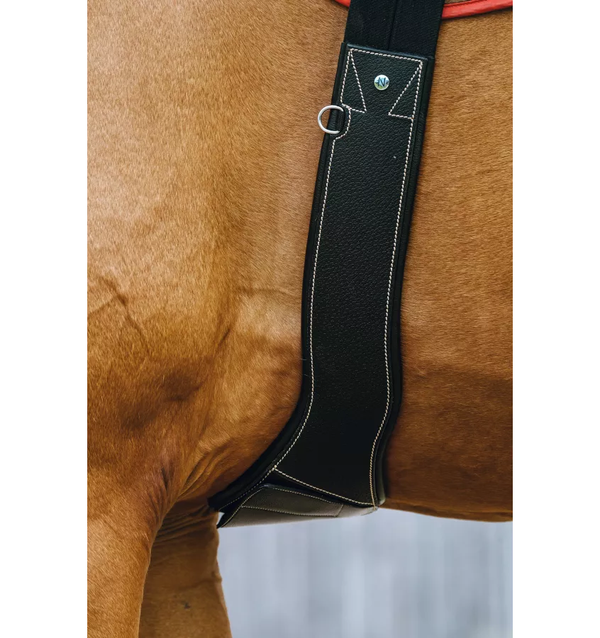 Skórzany popręg anatomiczny Norton Magnet czarny 115