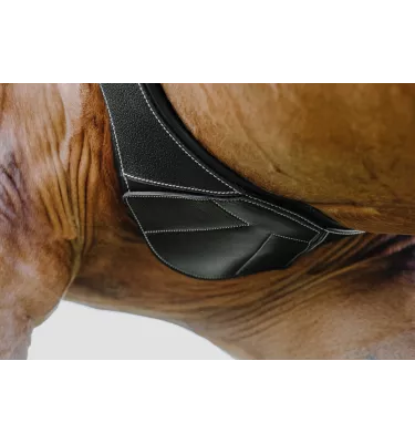 Skórzany popręg anatomiczny Norton Magnet czarny 115