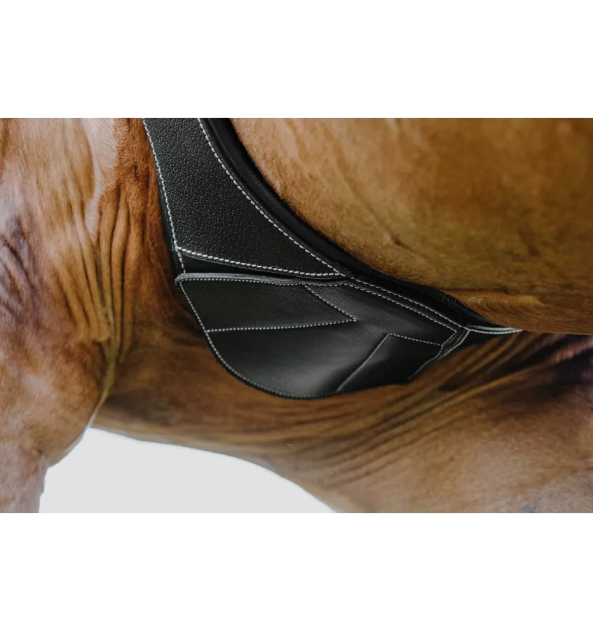 Skórzany popręg anatomiczny Norton Magnet czarny 115