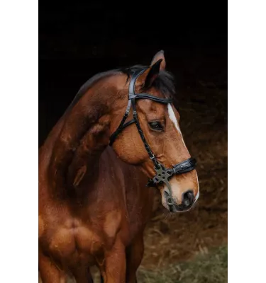 Ogłowie dla konia Hackamore czarny cob