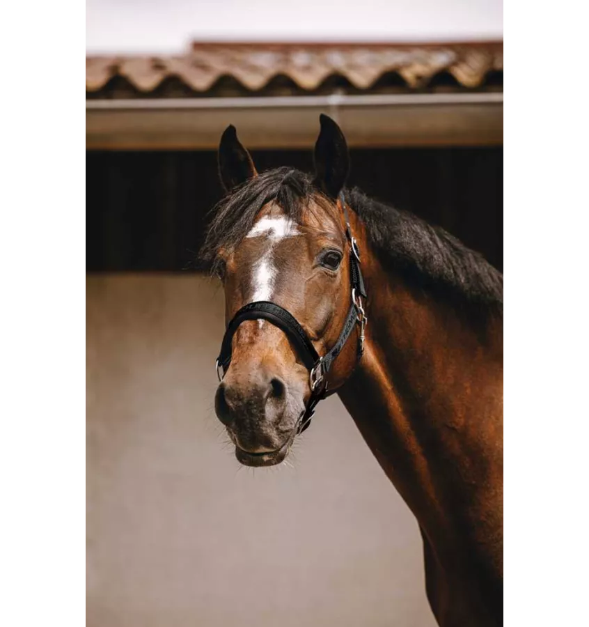 Kantar dla konia Jacquard czarny cob