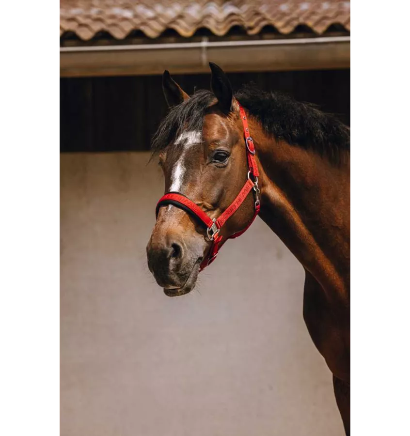 Kantar dla konia Jacquard czarny cob