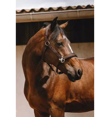 Kantar dla konia Jacquard czarny cob