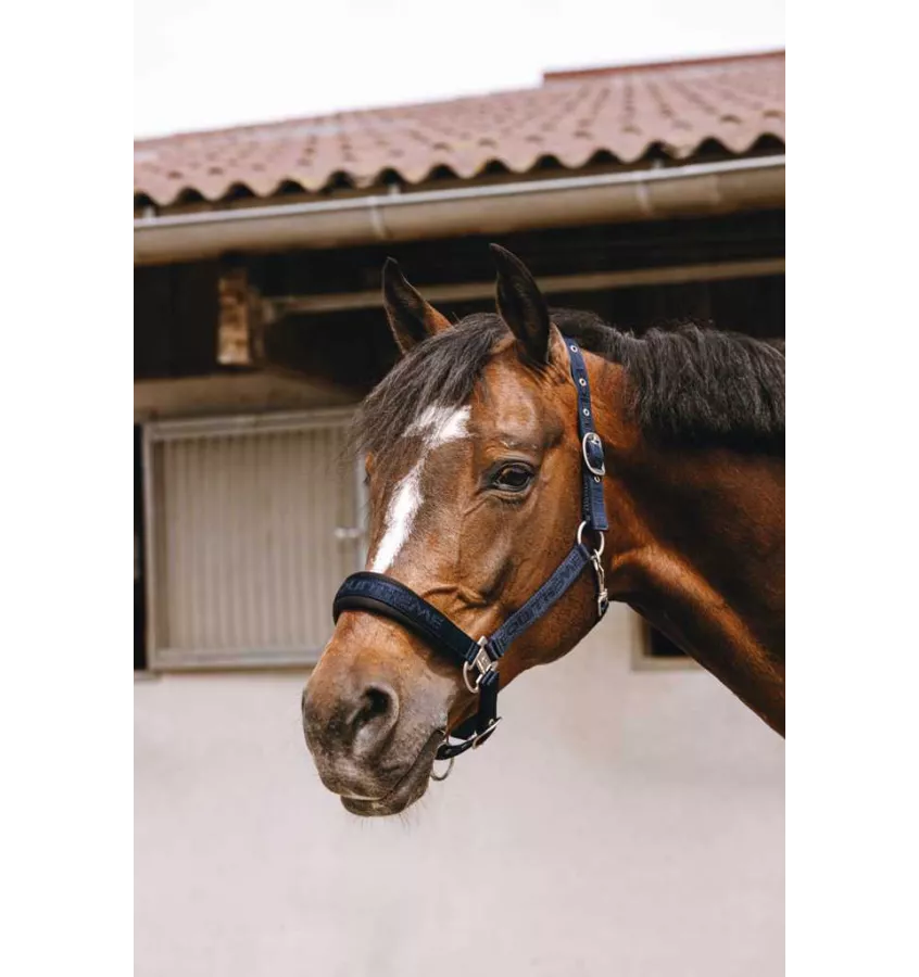 Kantar dla konia Jacquard czarny cob