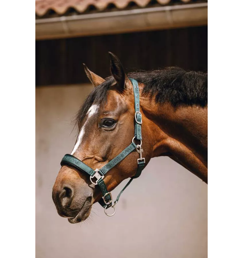 Kantar dla konia Jacquard czarny cob