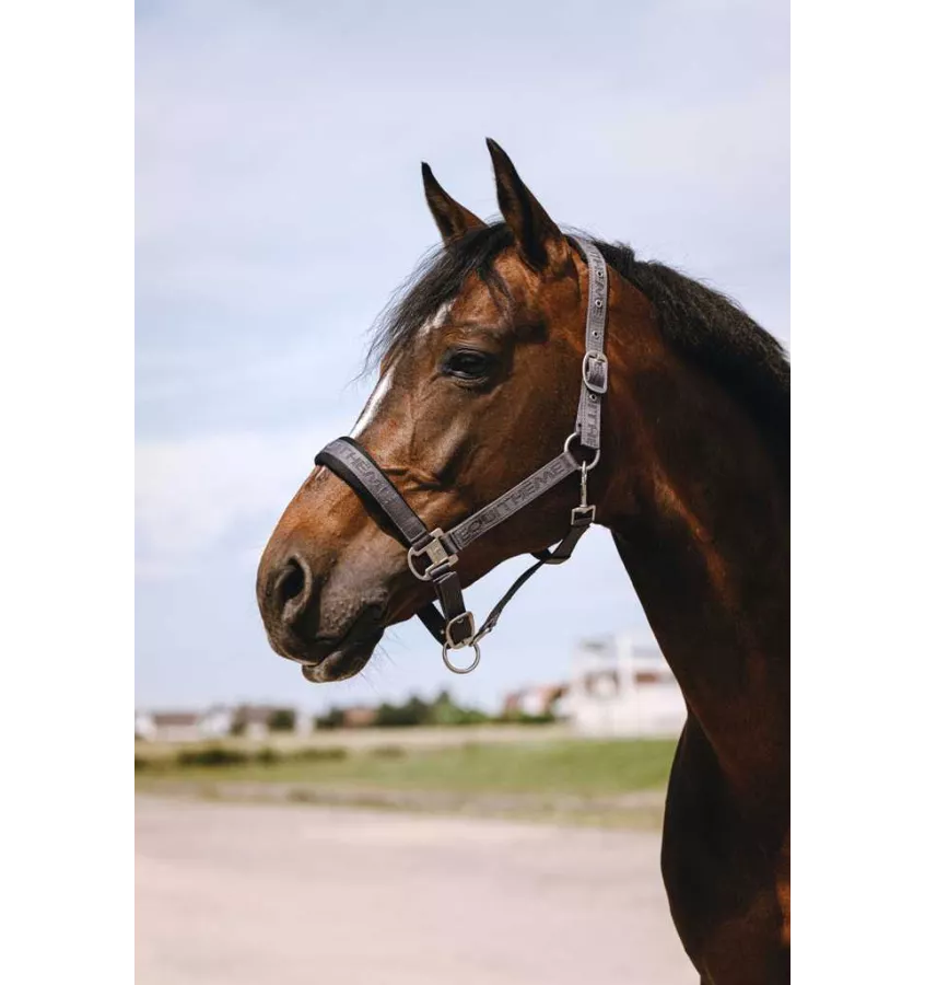 Kantar dla konia Jacquard czarny cob