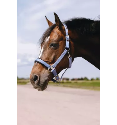 Kantar dla konia Jacquard czarny cob