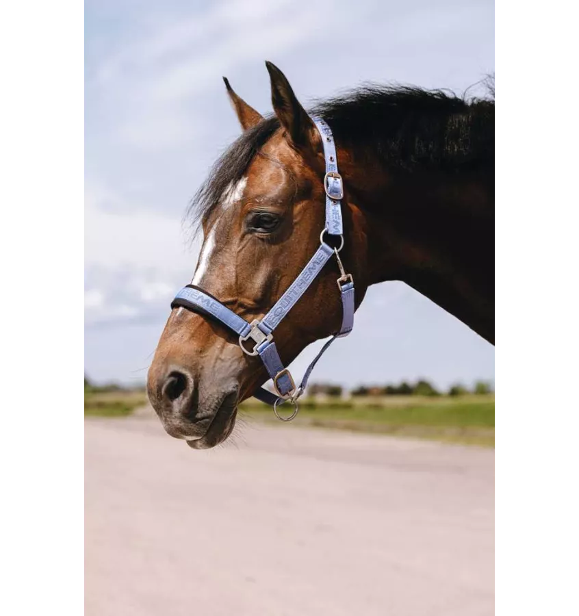 Kantar dla konia Jacquard czarny cob