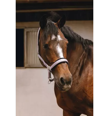 Kantar dla konia Jacquard czarny cob