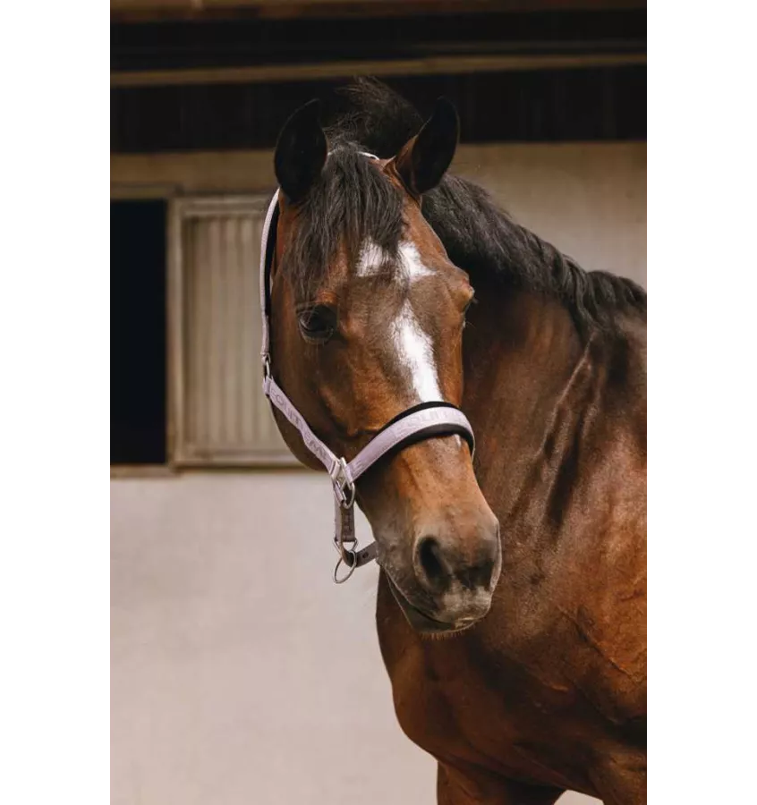 Kantar dla konia Jacquard czarny cob