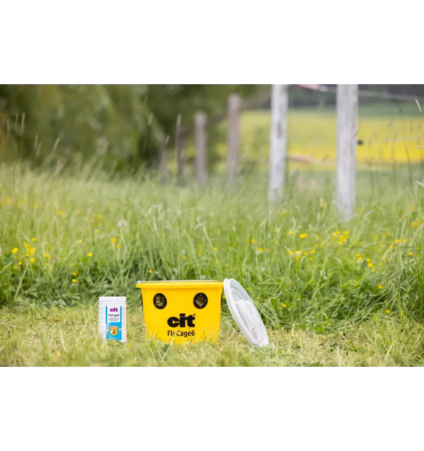 Pułapka na muchy FlyCage6 z traktantem 750g Cit