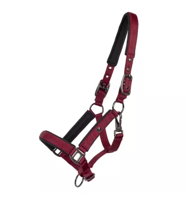 Kantar źrebięcy Deluxe burgund full