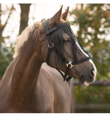 Frędzelki miękko podszyte QHP granat cob