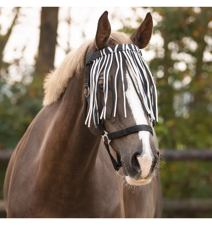 Frędzelki miękko podszyte QHP zebra cob