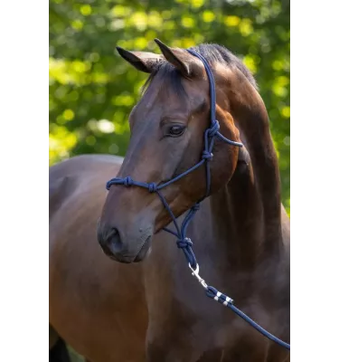 Kantar sznurkowy Covalliero granat cob