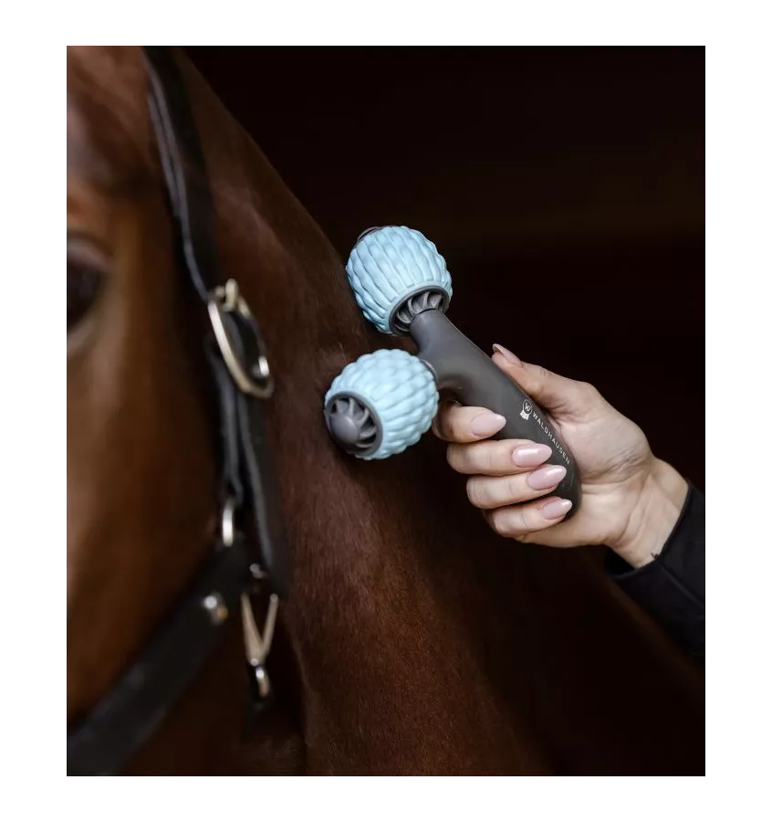Masażer Waldhausen Health+Care