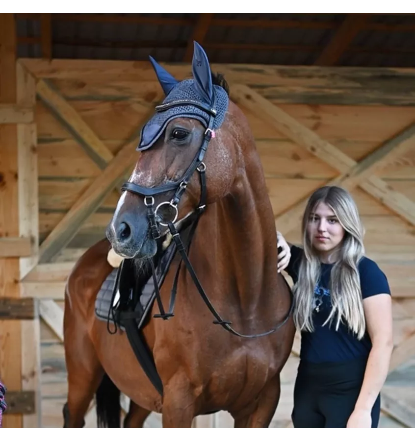 Nauszniki dla konia Modia szary full