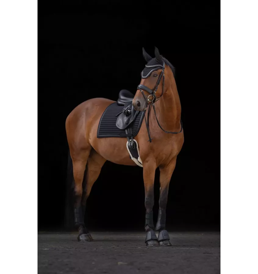 Kaloszki dla konia Avina granat cob