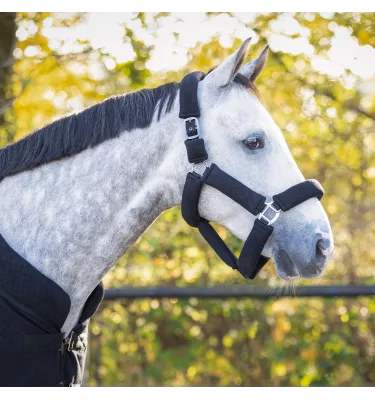 Kantar dla konia Zahra czarny cob