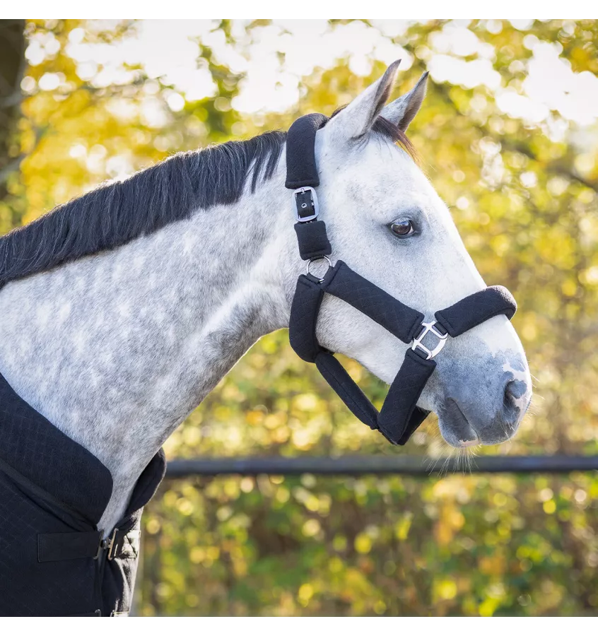 Kantar dla konia Zahra czarny cob