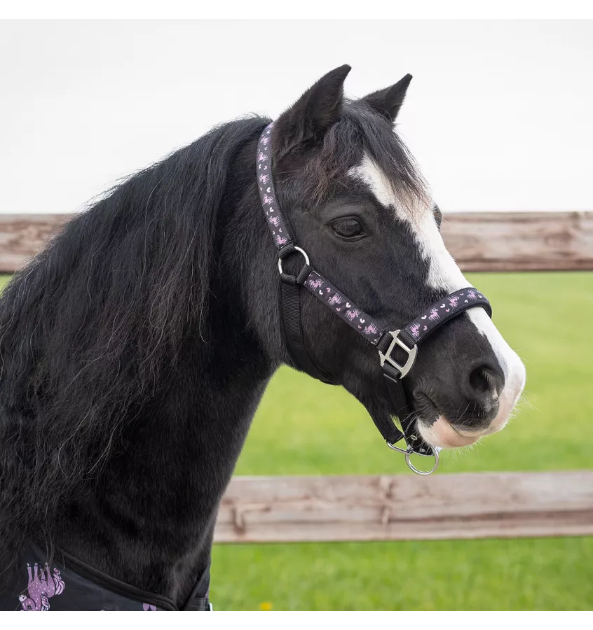 Kantar dla konia Lize cob