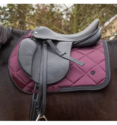 Czaprak wszechstronny Zahra