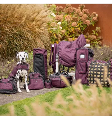 Torba na oficerki jeździeckie QHP Collection 2025/2026