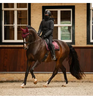 Kominiarka jeździecka Rayah