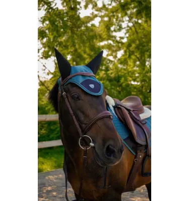 Nauszniki dla konia Combo Master czarny full