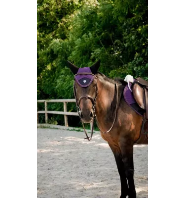 Nauszniki dla konia Combo Master czarny full